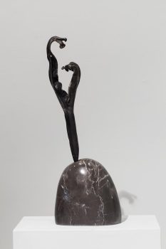 Canziani, Alina - Fuego vegetal